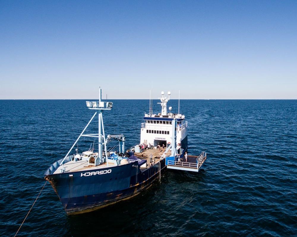 The OCEARCH research vessel sets sail on the open ocean.