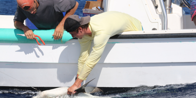 two male students, one in a long sleeve yellow shirt and one in a dark grey short sleeve shirt, are leaning over a white boat, grabbing a caught  fish.