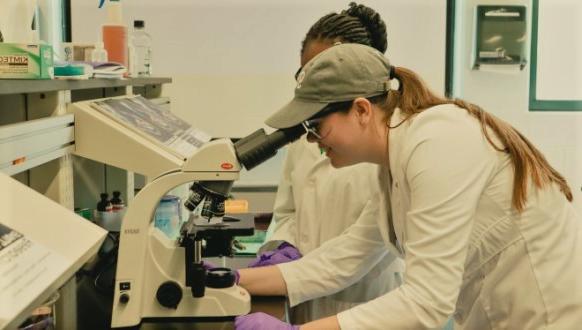 female students look into microscropes in a chemistry lab