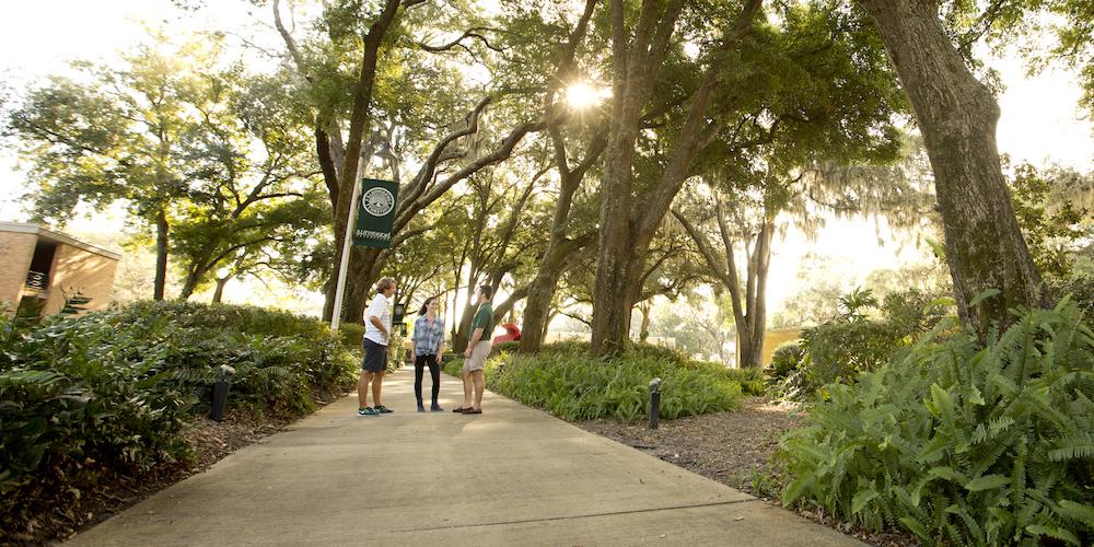 Students standing on a pathway on JU's tree-lined campus