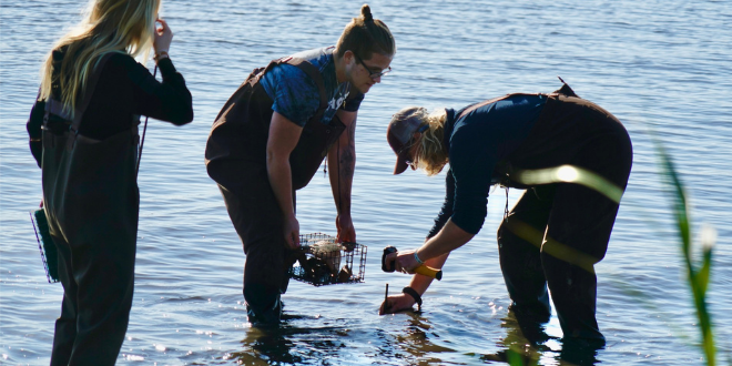 Students place the enclosures into the water.